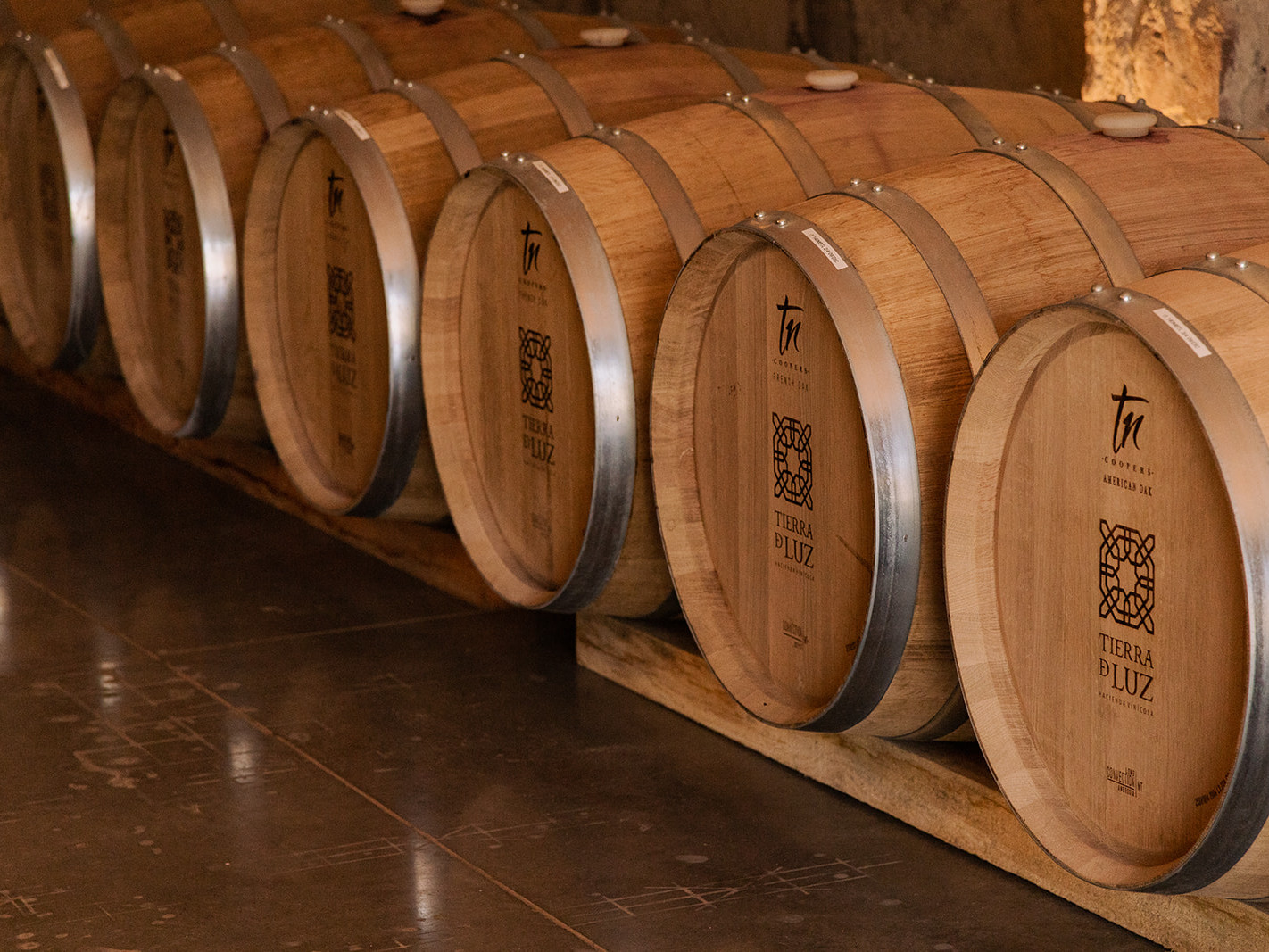 Tierra de Luz: Una Joya Vinícola a las Puertas de León, Guanajuato