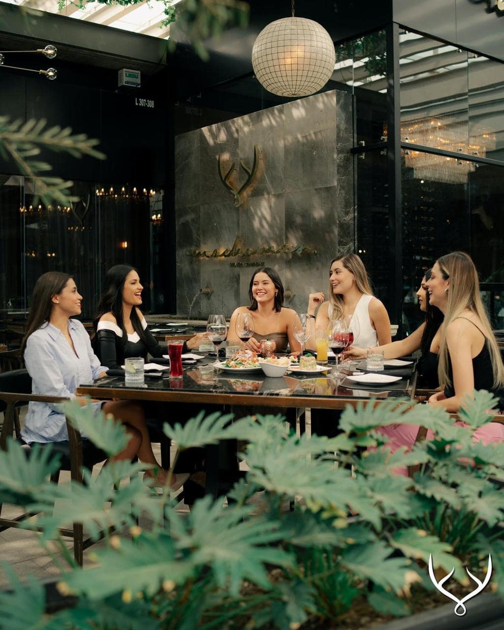 WhatsApp Image 2024 01 19 at 1.12.26 PM