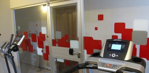 b8a55 F8 11 Gym 300x147