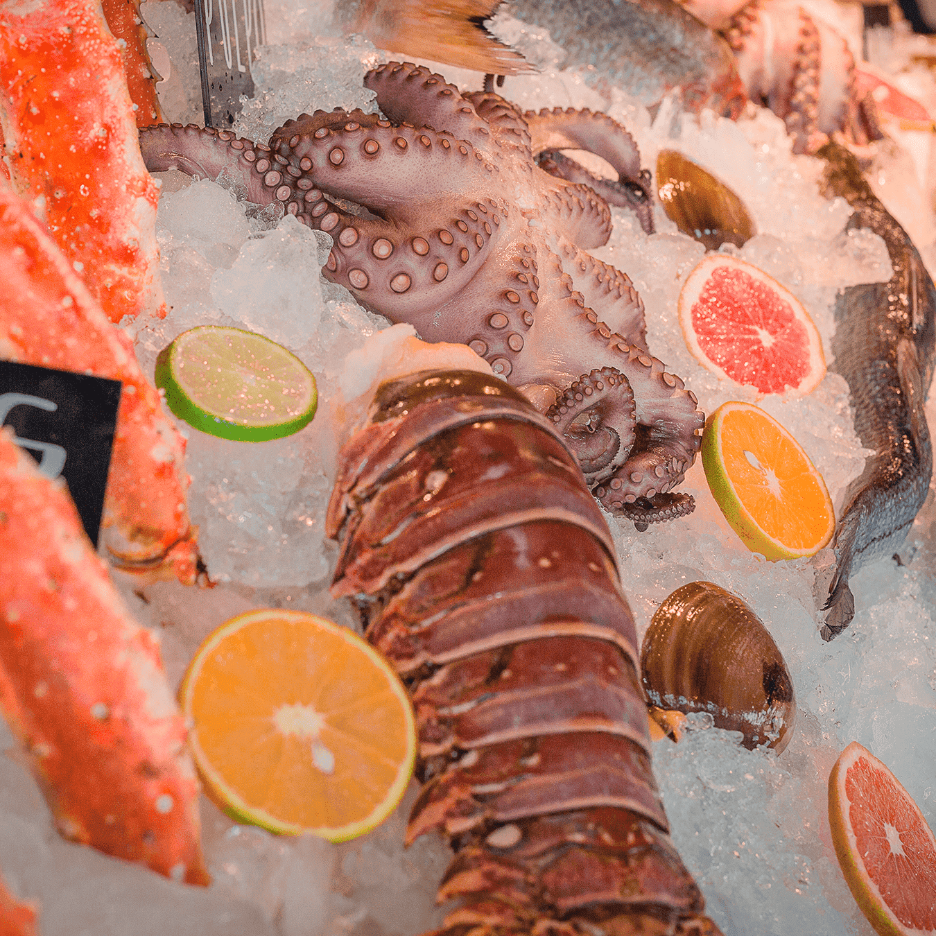 Imagenes Galeria CANIRAC 01