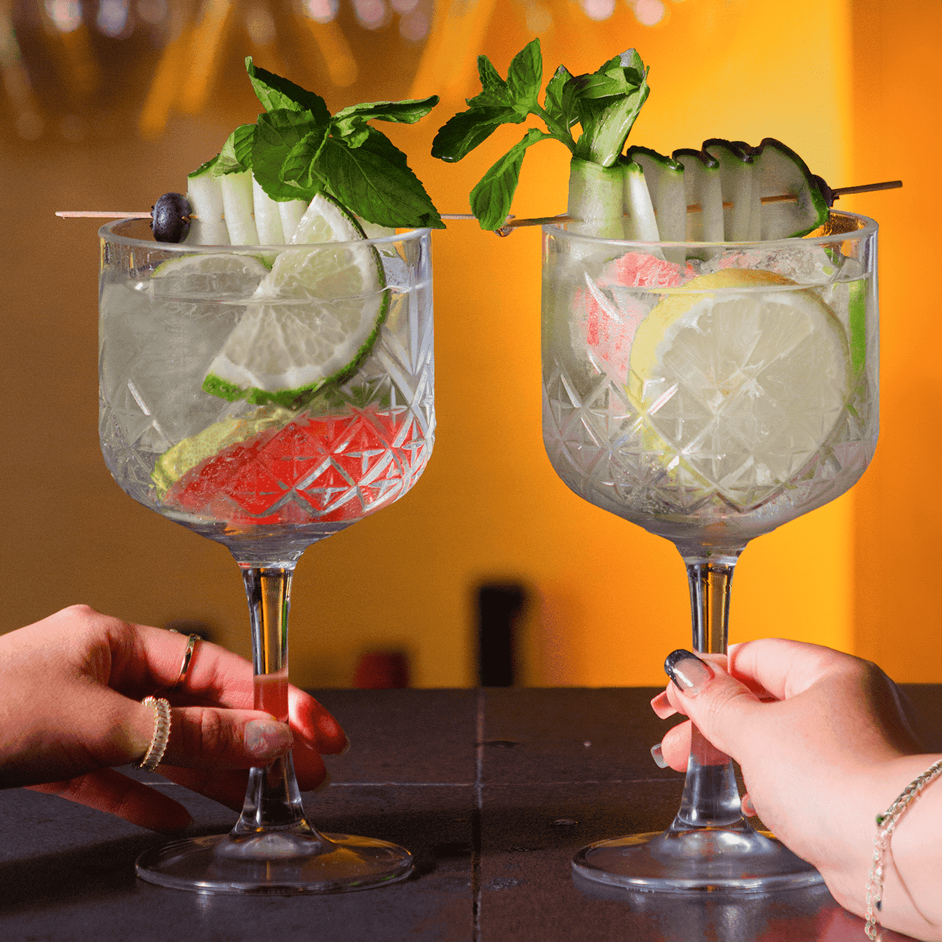 Imagenes Galeria CANIRAC 07 1