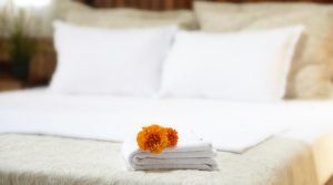 2H margaritas 300x167