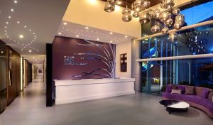 Centro Max 03 RECEPCION 300x176