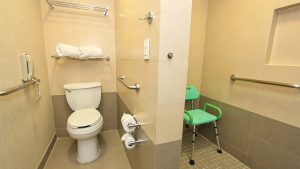 Hab Doble Handicap Bano 300x169