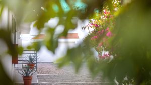 Hotel Opportunity 221010170249 300x169