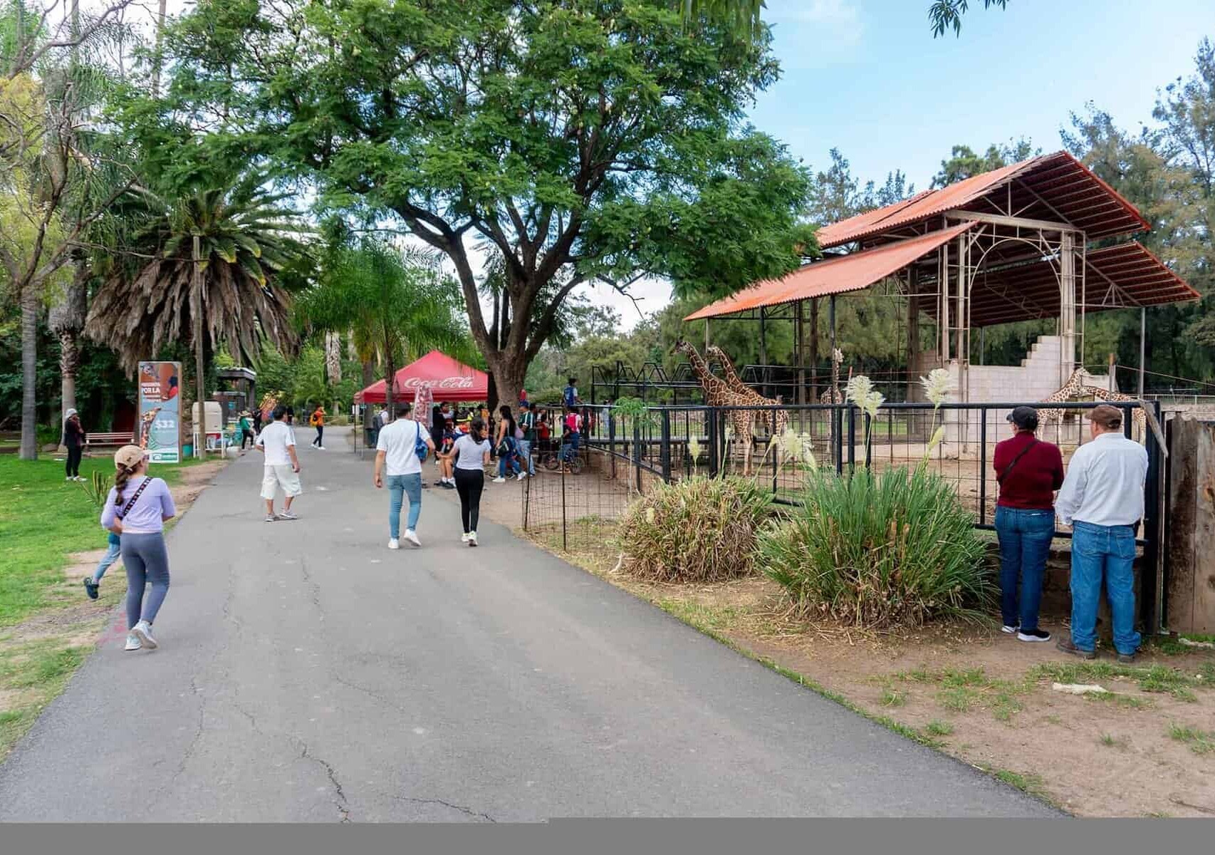 ¡Vive una Aventura Única en el Zoológico de León!