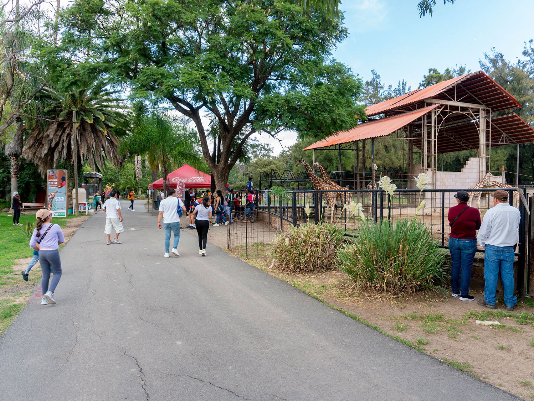 ¡Vive una Aventura Única en el Zoológico de León!