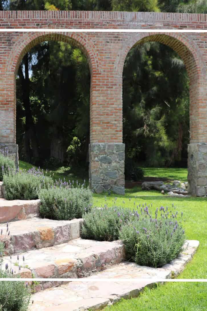 Puente de ladrillo en un parque natural de León, México, rodeado de vegetación y un río, ideal para paseos y turismo ecológic.