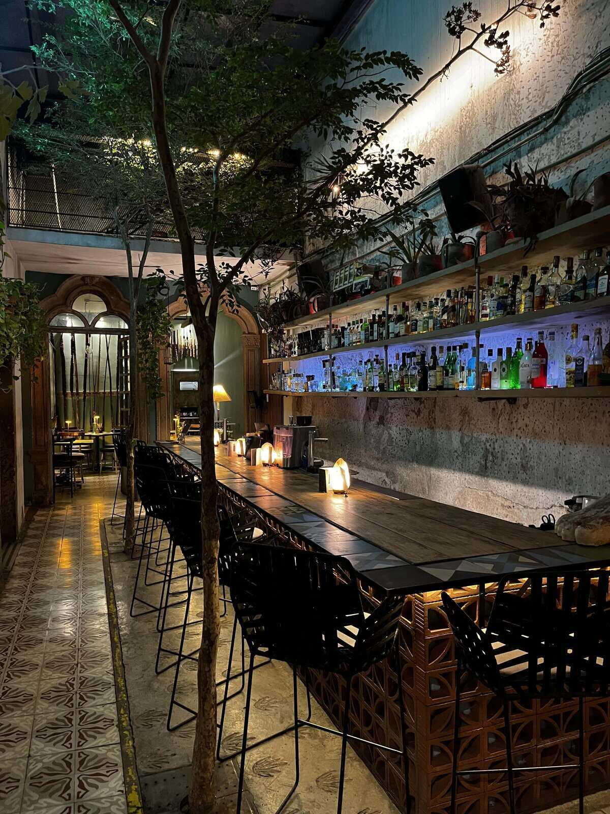 Cafeter&iacute;a moderna en Le&oacute;n, M&eacute;xico, con ambiente natural, iluminaci&oacute;n suave y barra de bebidas con variedad de licores y c&oacute;cte.