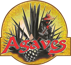 AGAVES TRADICIONAL