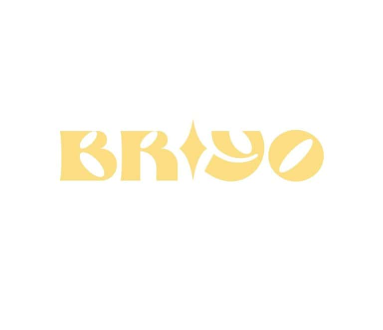 BRIYO 768x662