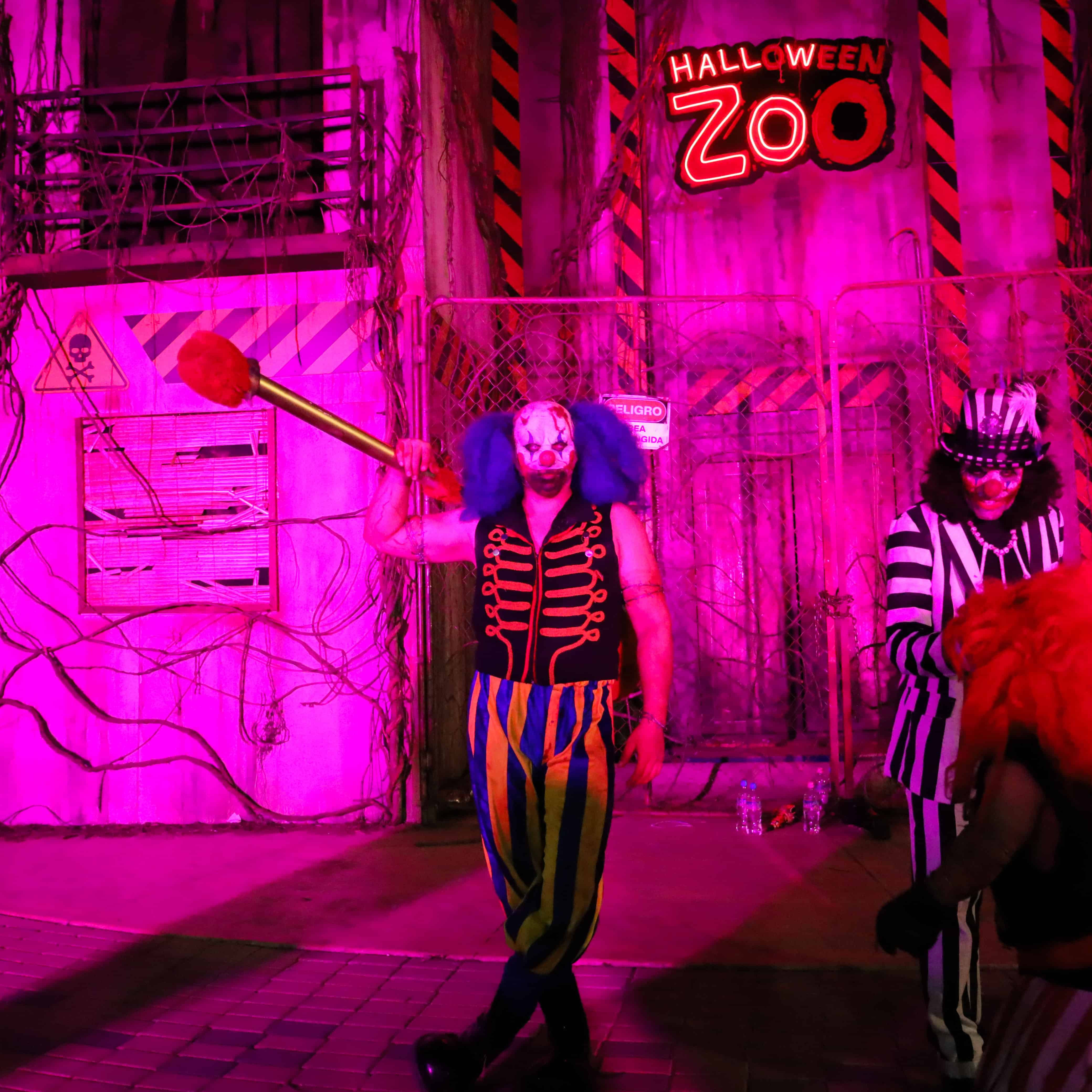 Espectáculo de Halloween en el zoológico de León con personajes disfrazados y ambiente temático, ideal para familias y visita.