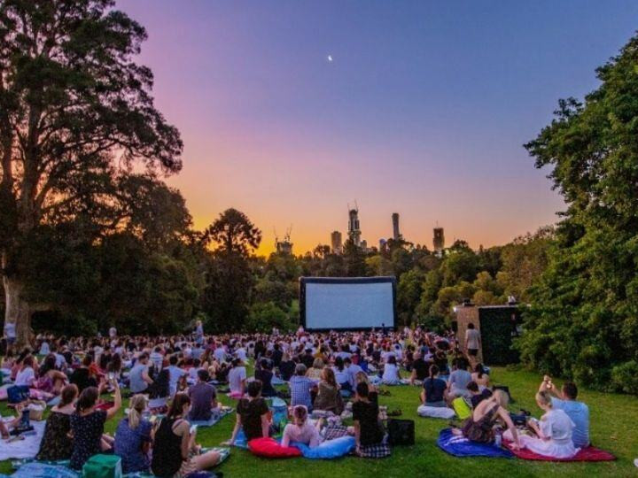 Proyección de película en parque con gran asistencia, rodeada de naturaleza y ambiente familiar en León, Guanajuato.