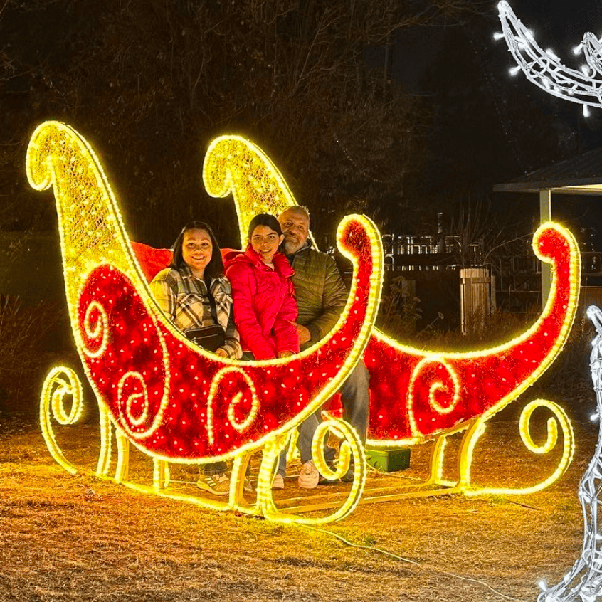 Espectacular trineo de luces decorativas para Navidad en un parque al aire libre, ideal para fotos y disfrutar del espíritu f.