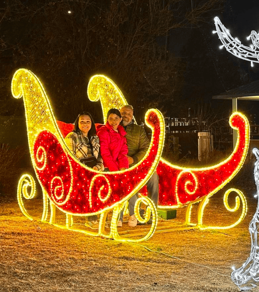 Espectacular trineo de luces decorativas para Navidad en un parque al aire libre, ideal para fotos y disfrutar del espíritu f.
