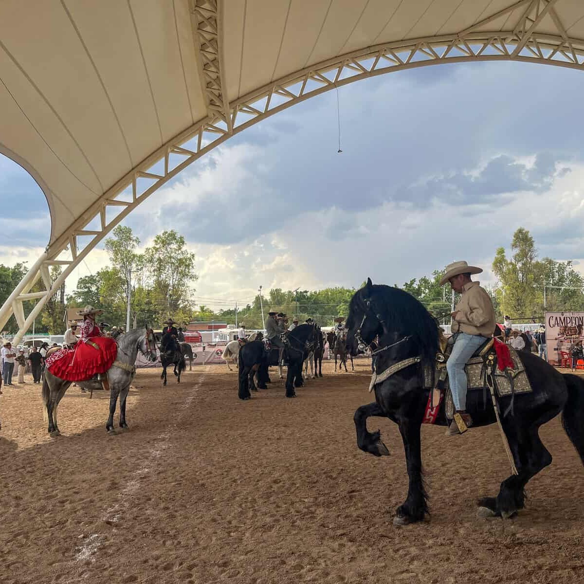 Espectáculo ecuestre en León con caballos y jinetes en un evento cultural.
