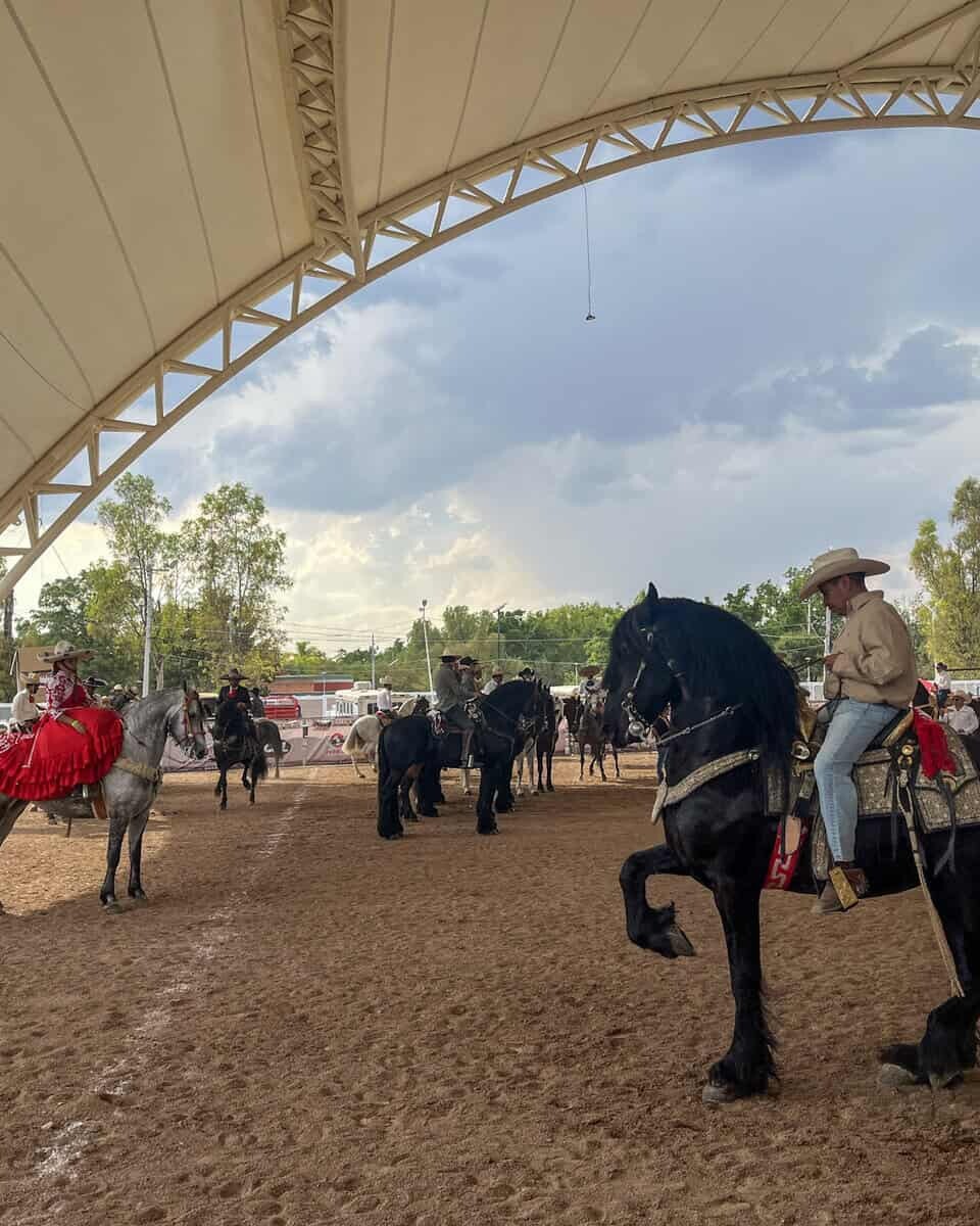 Espectáculo ecuestre en León con caballos y jinetes en un evento cultural.
