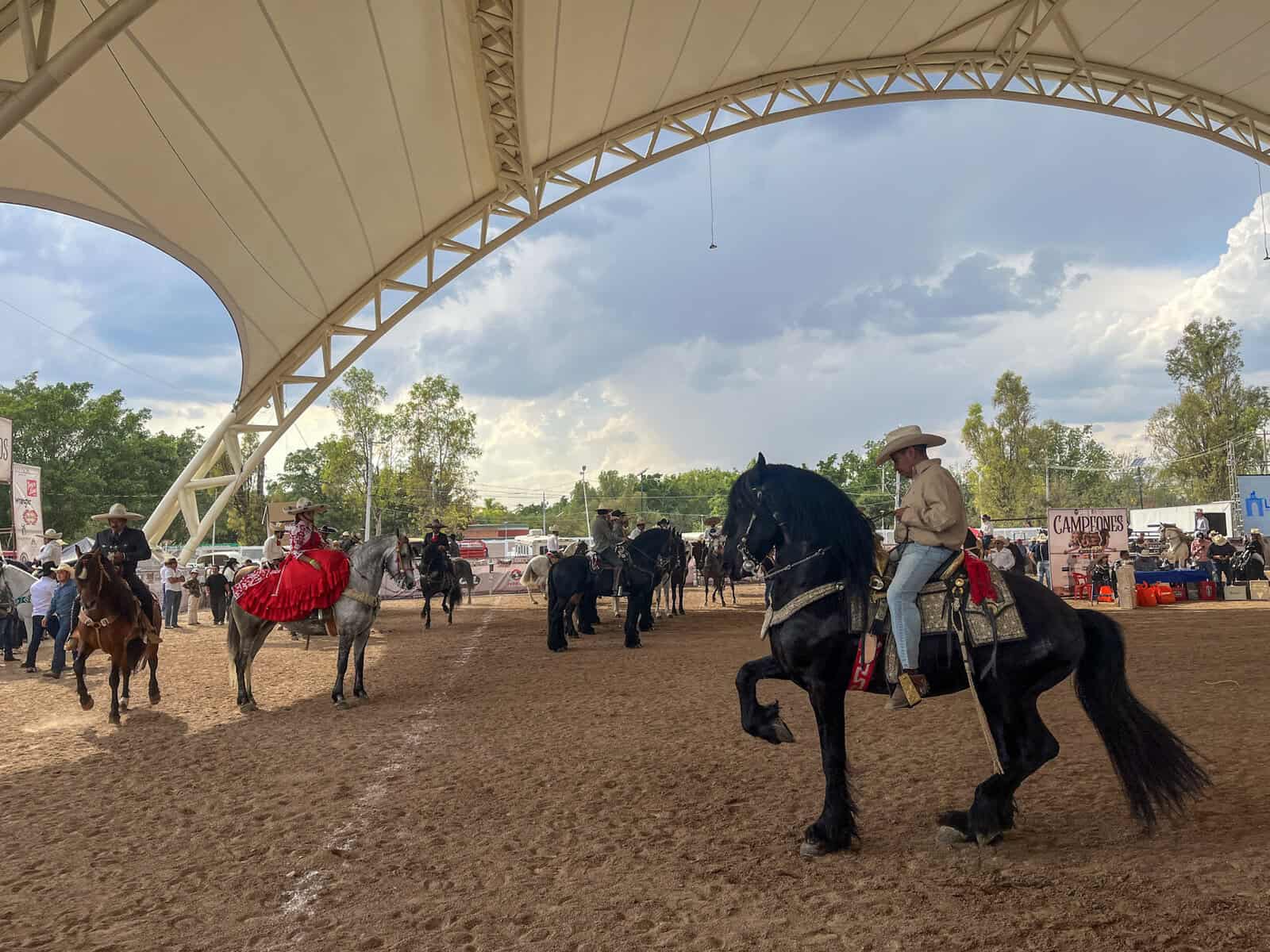 Espectáculo ecuestre en León con caballos y jinetes en un evento cultural.