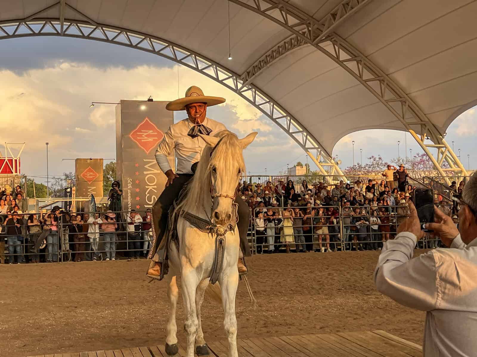 Espectáculo de caballos en León, que combina tradición, cultura y diversión familiar en un evento único.