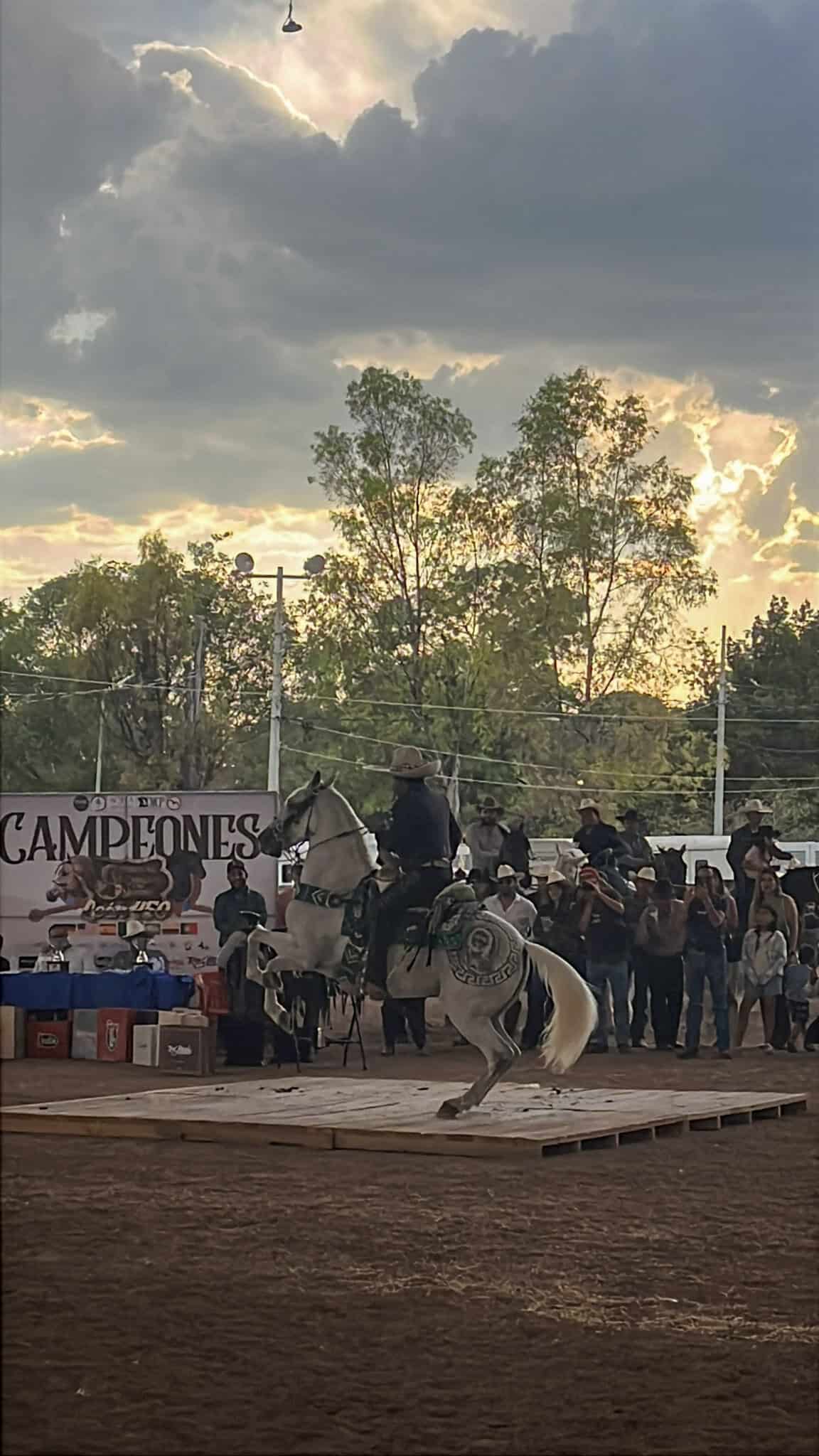 Evento ecuestre en León, con caballos y jinetes en una competencia tradicional, rodeados de público y ambiente cultural.