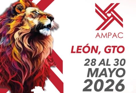 Imagen de un león con melena colorida, símbolo de fuerza y liderazgo en la prevención de la aterosclerosis.