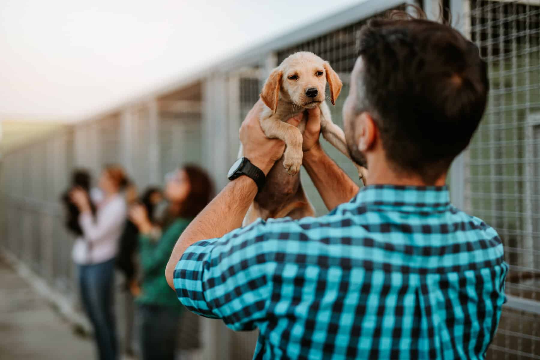 Hombre sosteniendo un cachorro en un evento de D&iacute;a Mundial del Perro en Le&oacute;n, Guanajuato, M&eacute;xico.