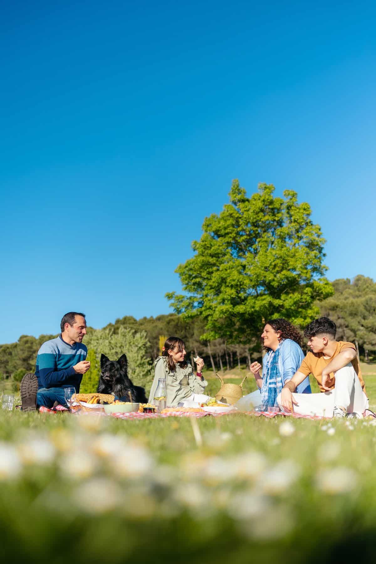 Grupo de amigos disfrutando un picnic en Le&oacute;n, Guanajuato, con perros en un d&iacute;a soleado y cielo despejado.