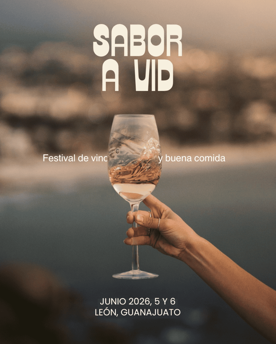 Persona sosteniendo una copa de vino con vista panorámica en León, Guanajuato.