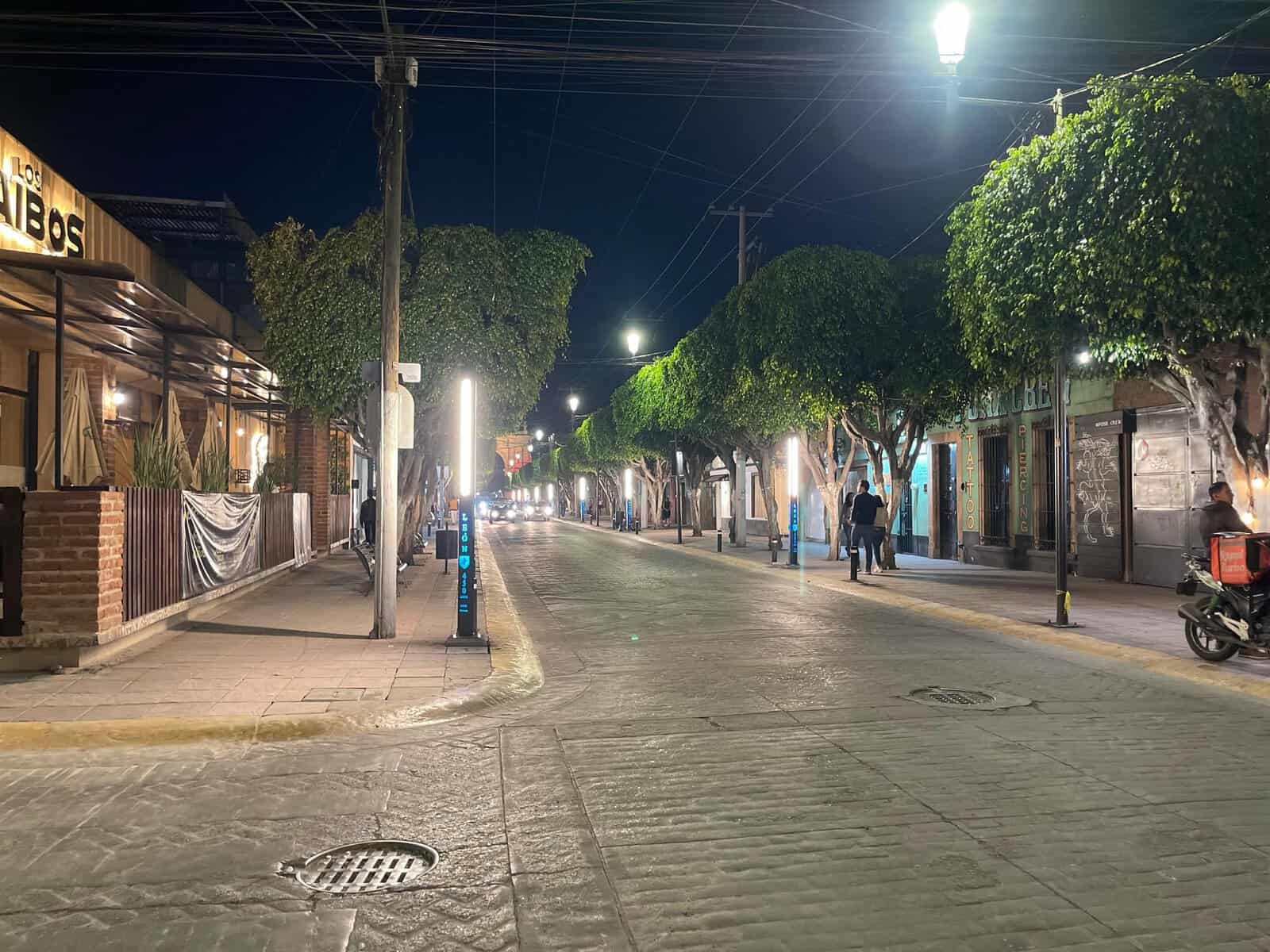 Vista nocturna de una calle en León con árboles, iluminación y pocos peatones, mostrando el ambiente tranquilo de la ciudad.