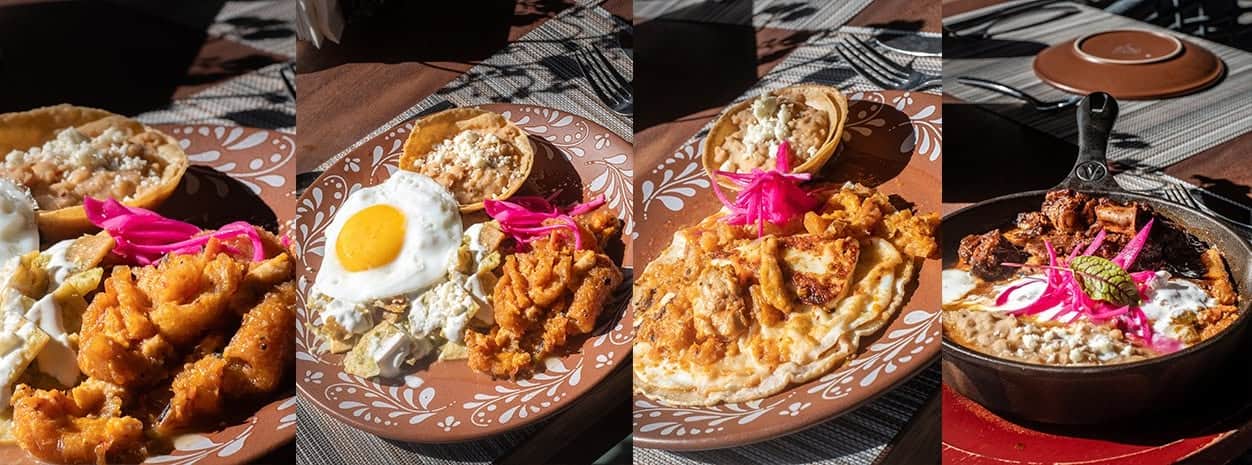 Platos t&iacute;picos de Le&oacute;n Guanajuato con carne, frijoles y guarniciones, ideal para turismo gastron&oacute;mico en M&eacute;xico.