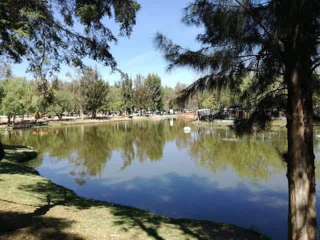 Hermoso parque en Le&oacute;n Guanajuato con lago y &aacute;rboles, destino tur&iacute;stico ideal para pasear y relajarse en la ciudad.