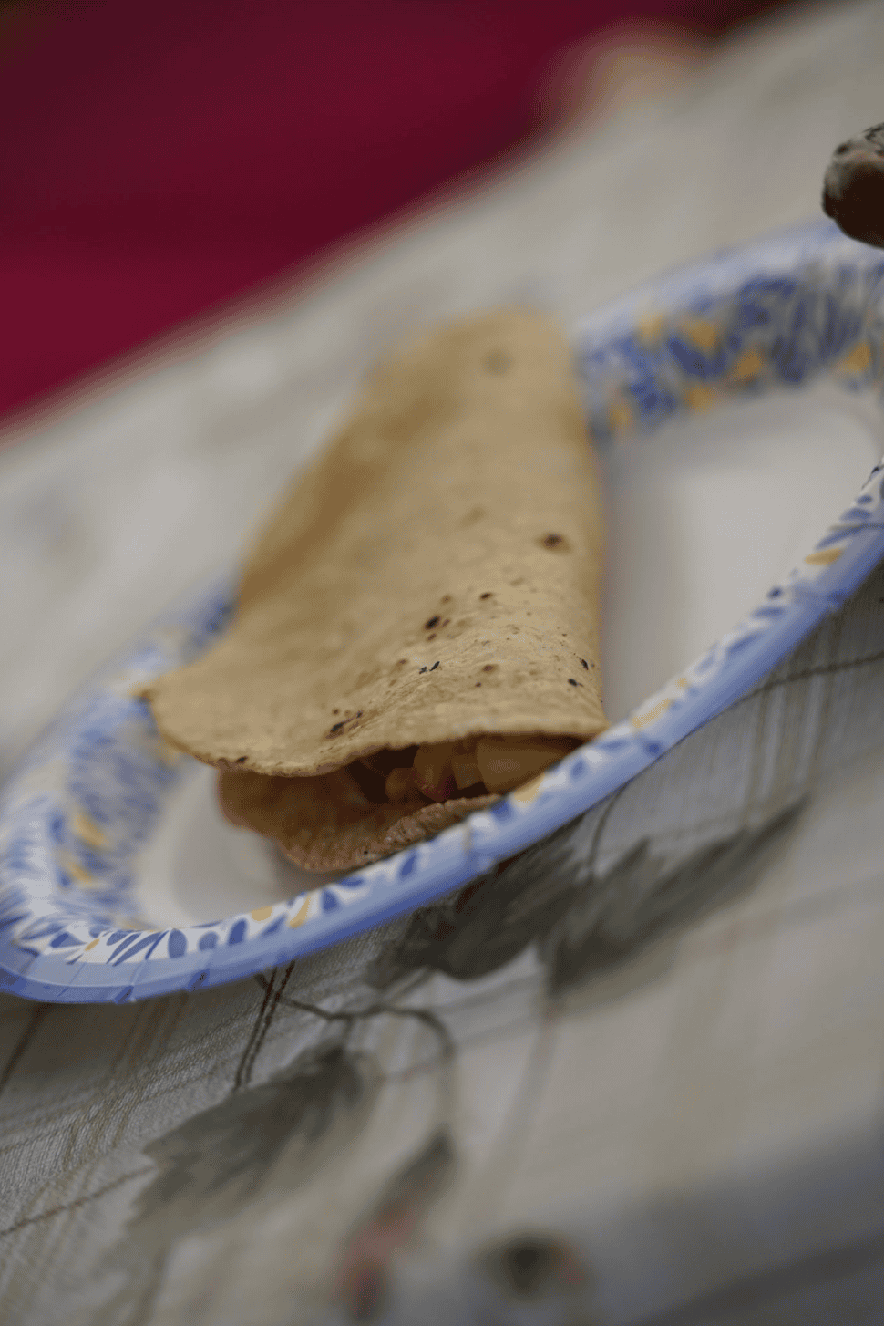 Tacos tradicionales de León en plato de cerámica, comida mexicana auténtica y deliciosa.