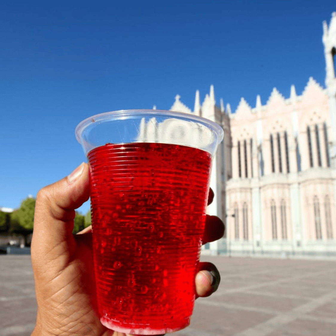 Vaso con bebida roja en Plaza Principal de León, Guanajuato, con catedral en el fondo, turismo en México.