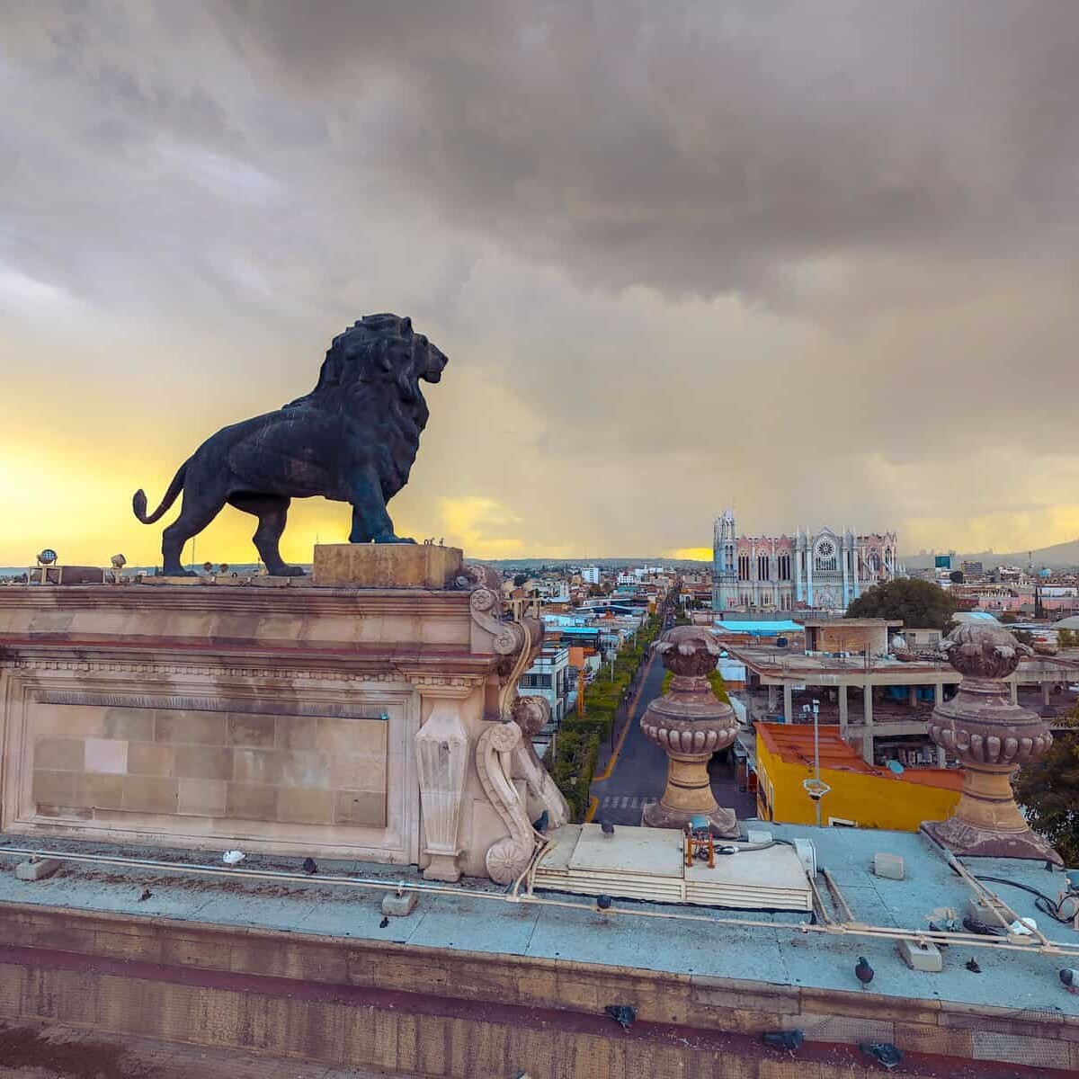 Estatua de león en el techo de un edificio en León, Guanajuato, con vista panorámica de la ciudad y cielo nublado.