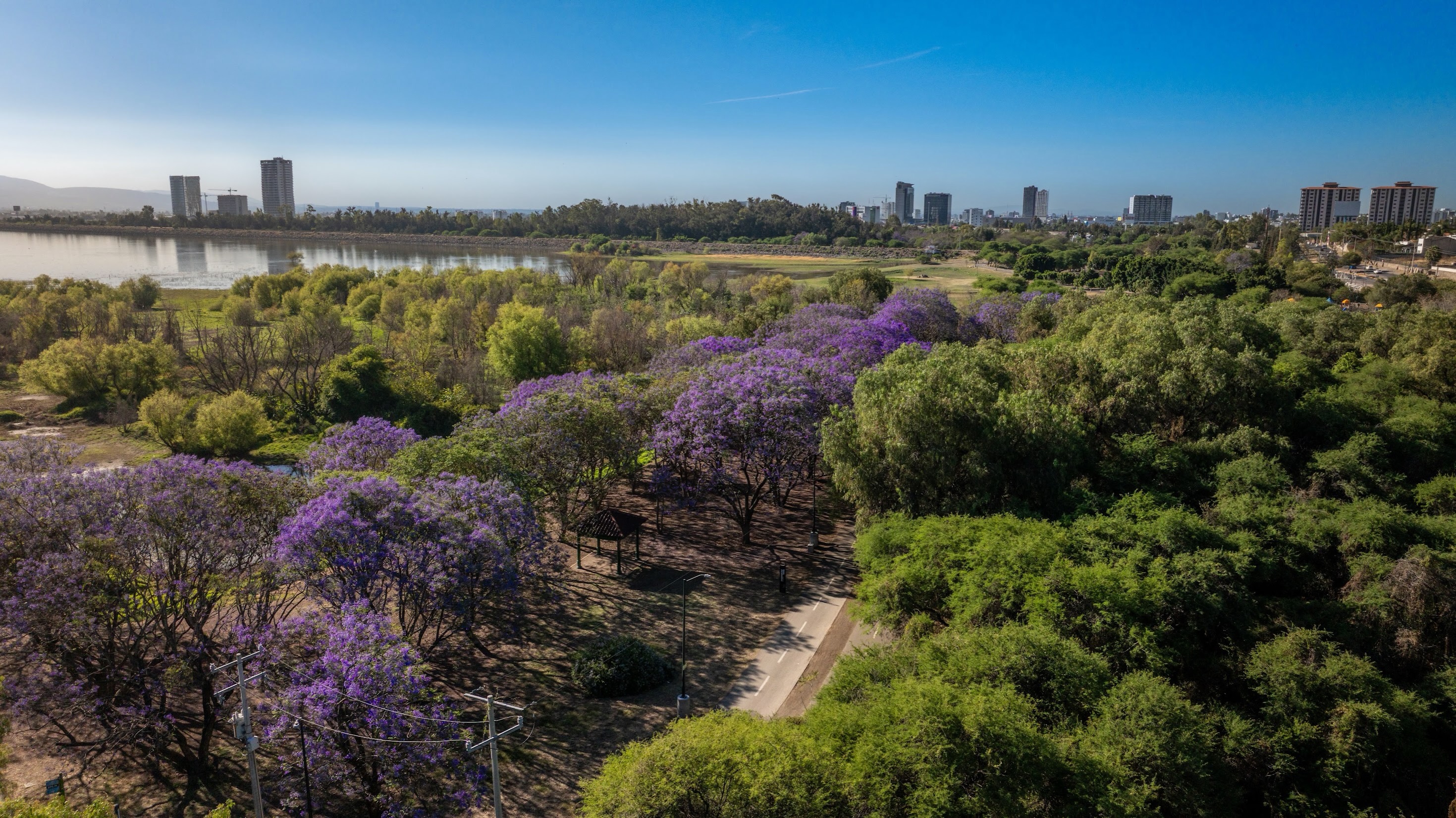 🌳🌎 ¡Los parques de León reciben reconocimiento internacional! Los parques metropolitanos Eliseo…
